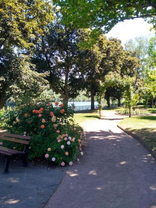 Urlaub Am Rhein, Ferienwohnung Mit Garten Boppard Eksteriør bilde