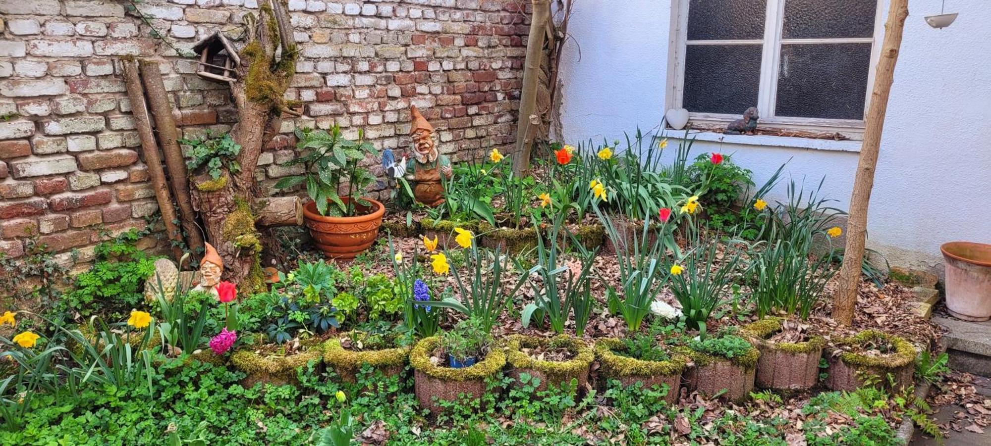 Urlaub Am Rhein, Ferienwohnung Mit Garten Boppard Eksteriør bilde