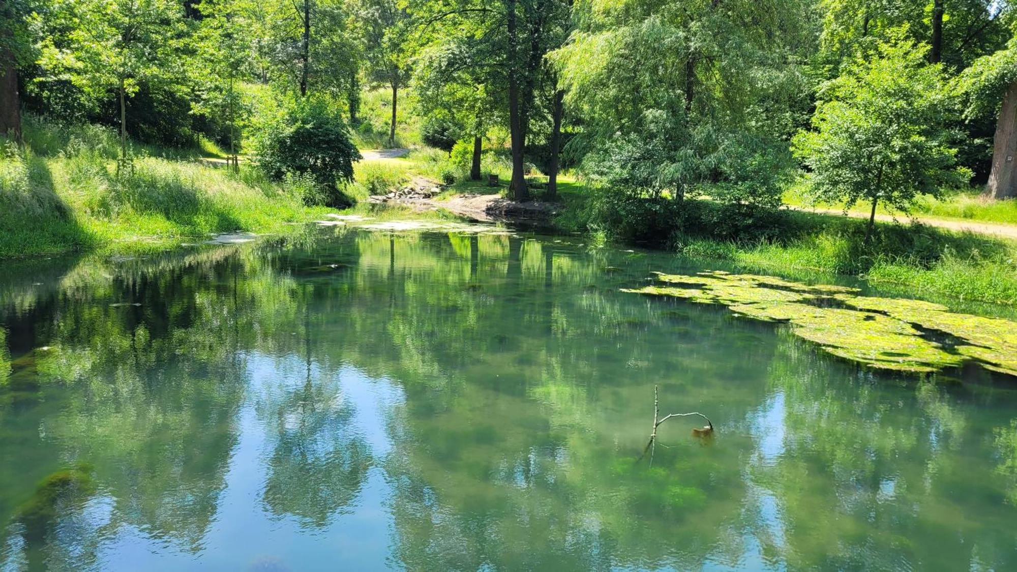 Urlaub Am Rhein, Ferienwohnung Mit Garten Boppard Eksteriør bilde